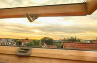 rated Goatham Green roof window companies